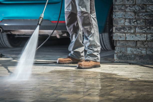 Best Pre-Holiday Cleaning  in Williston, ND